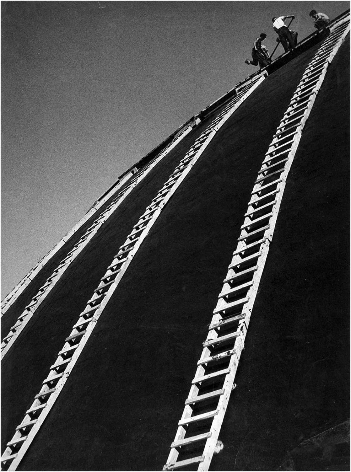 Misa Pavlovic - Asfalteri